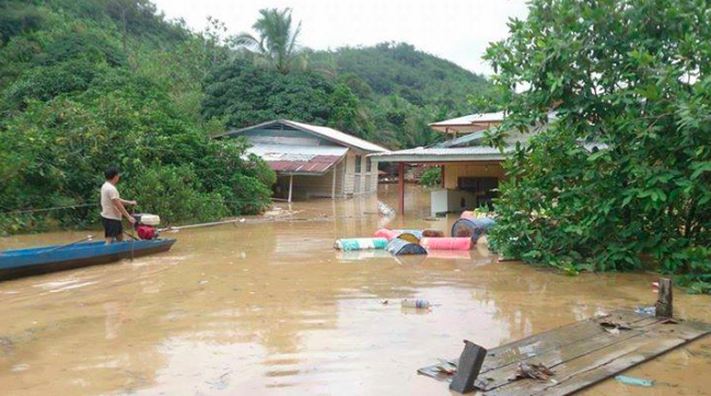 Raban bansa ti diau di tebing sungai ngasaika diri kena keruga laban sungai ti udah dirusak