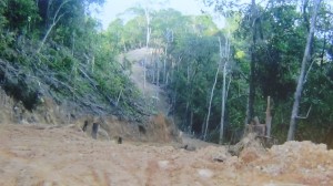 Jalai kayu batang ti digaga Samling di Long Palai – nadai meri sebarang penguntung ngagai orang asal lalu jalai nya deka tusur sebarang maya