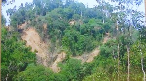 Gaya rampa menua ditabanka tanah tusur nya nandaka pengawa ti salah ba ngulihka kayu batang ti dikereja Samling di serata Baram