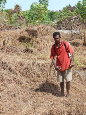 Anak kuli RH benung nyemburka rachun rumput tang nada ngena pekayan ti menyana dikena nyaga tubuh diri empu – gambar ari Andrew Lattas