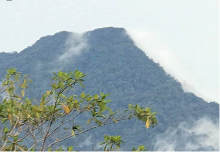 Bukit Spali, Kanowit – the hilly land encroached by logging 