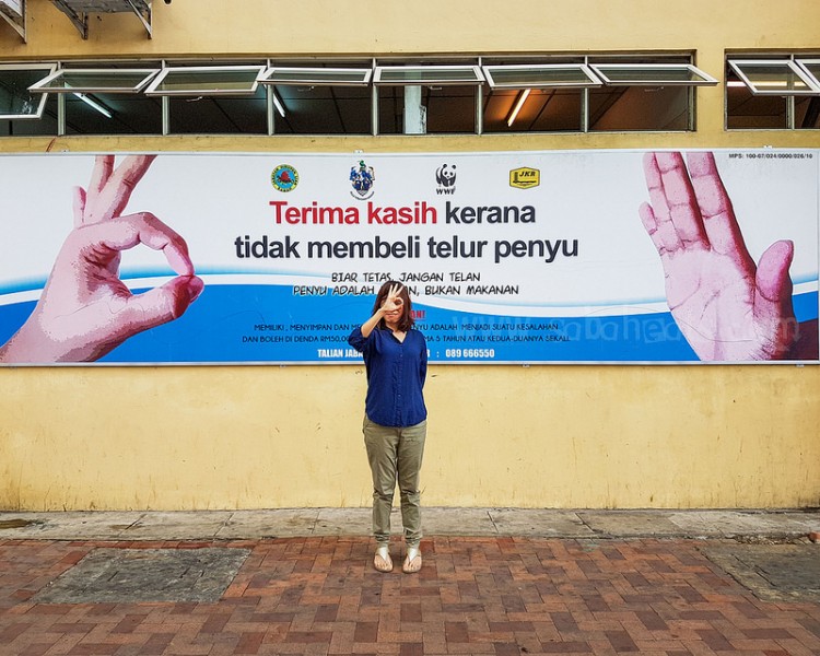 These are the signs all over Sandakan.... so why do wealthy car drivers ignore them?