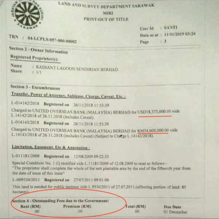 Were the loans taken out on Radiant Lagoon related to a payment to its previous owners for the purchase?