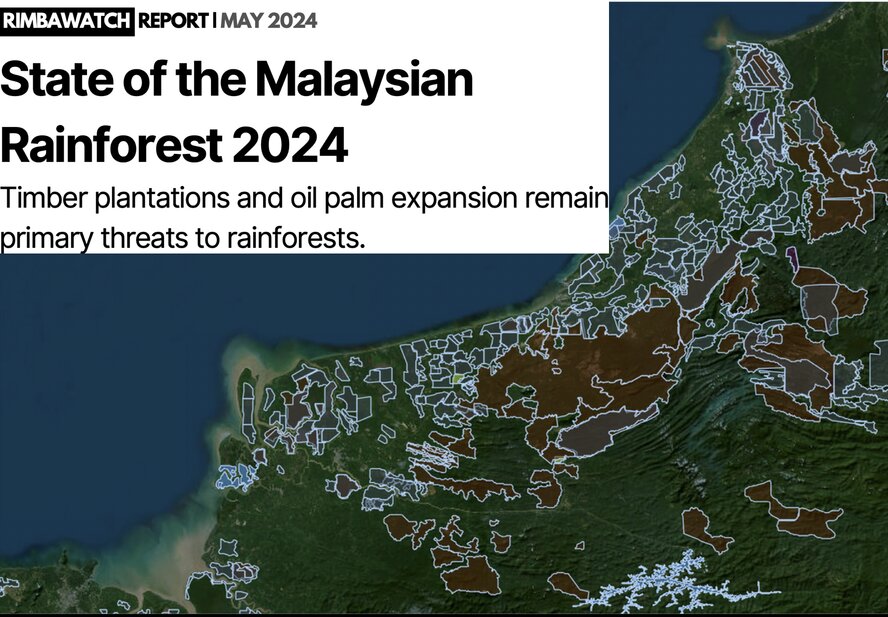 Malaysia’s Rainforest Threat Is Focused On Sarawak