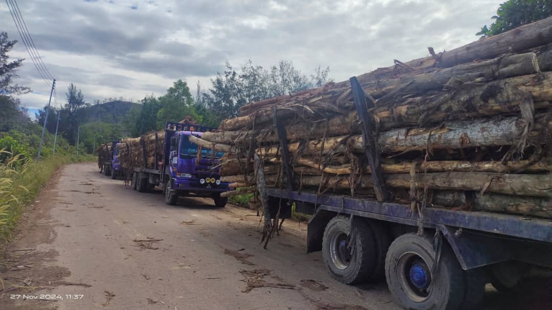 Illegal Logging In Sabah! (By The State Government)